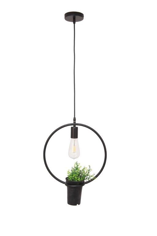 Forest  Circular Pendant 1 Lamp